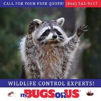It’s Bugs Or Us Pest Control - Fort Worth image 1